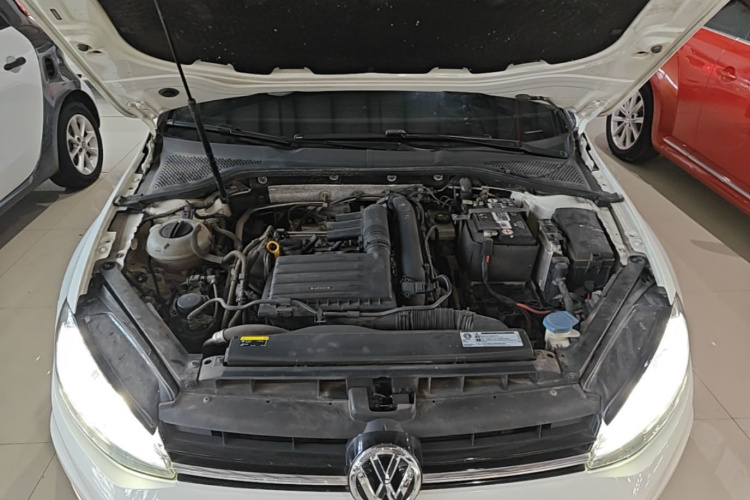 Volkswagen Golf 2020 car image #20