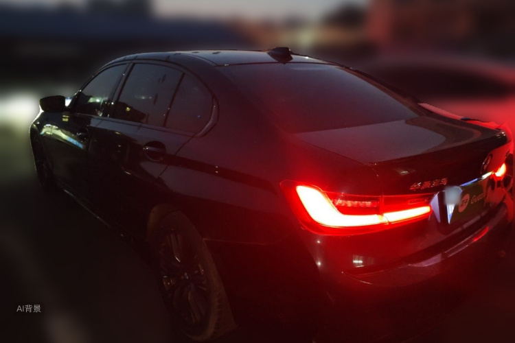 BMW 3 Series 2021 car image #5