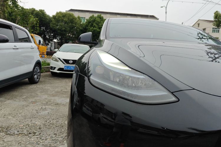 Tesla Model Y 2023 #8 Tesla Model Y 2023 car image #8