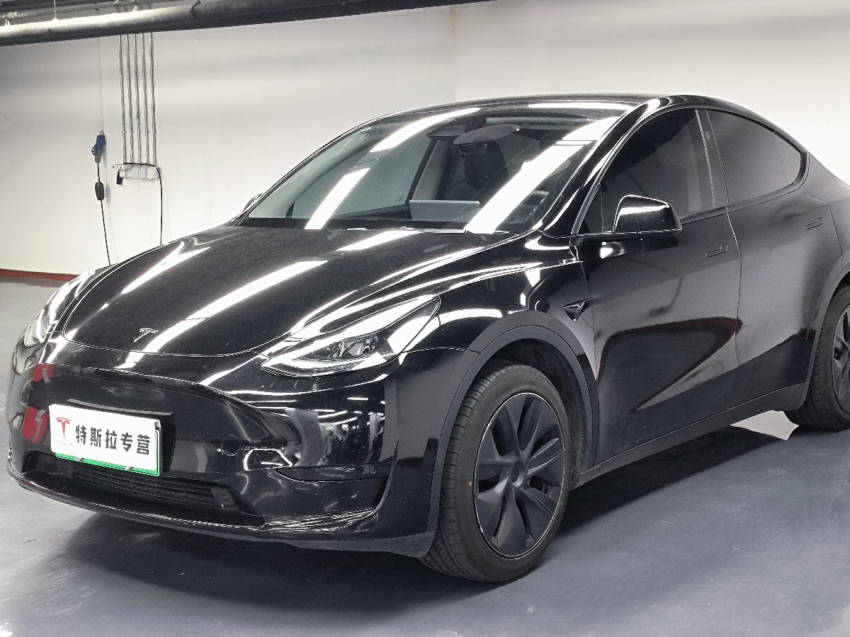 Tesla Model Y 2024 car image 