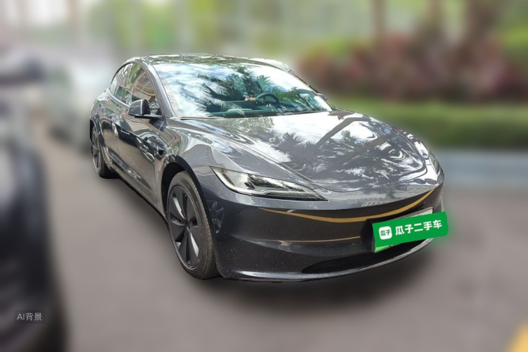 Tesla Model 3 2024 car image #4