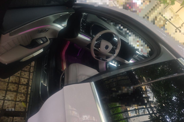 BYD Han 2024 car image #18