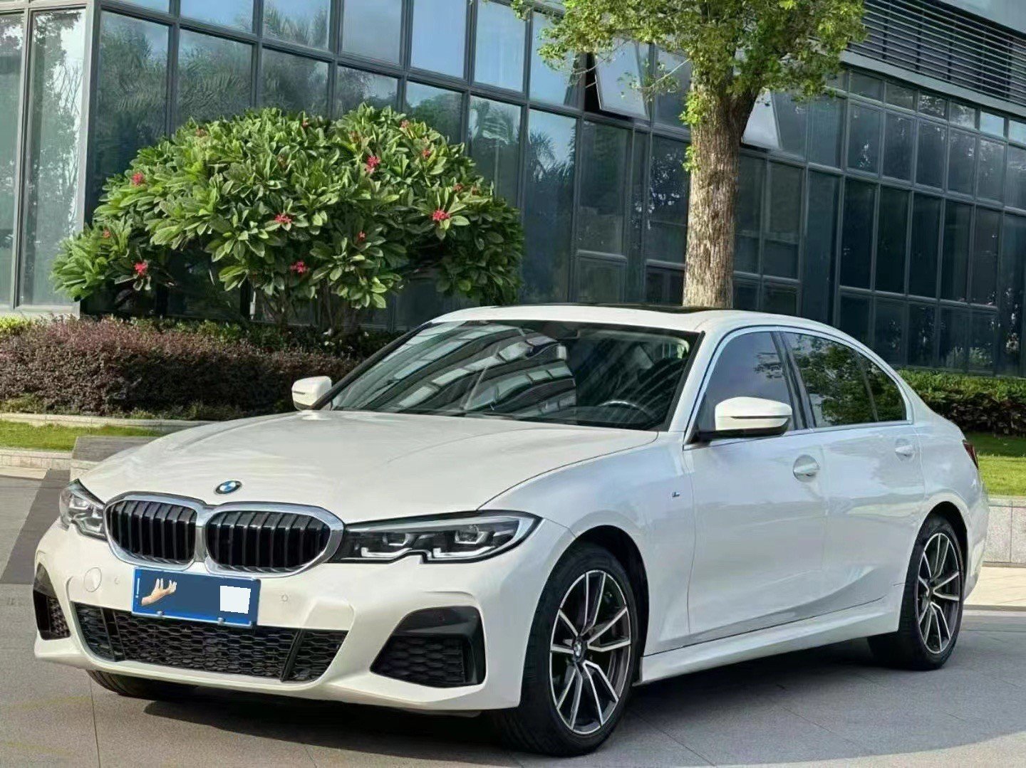 BMW 3 Series 2022 BMW 3 Series 2022 car image