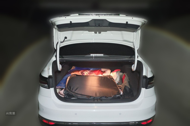 Volkswagen Lavida 2024 car image #21