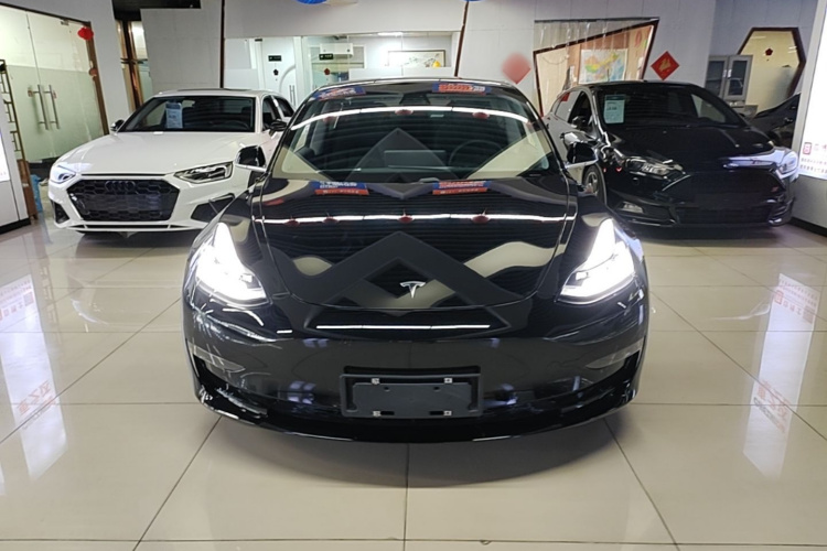 Tesla Model 3 2020 #3 Tesla Model 3 2020 car image #3