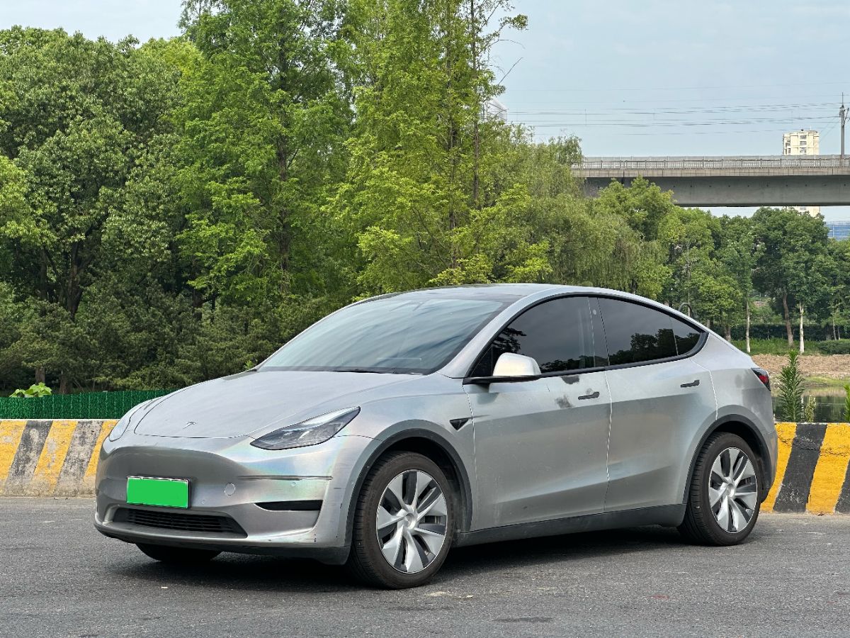 Tesla Model Y 2022 car image 