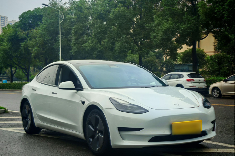 Tesla Model 3 2021 #3 Tesla Model 3 2021 car image #3