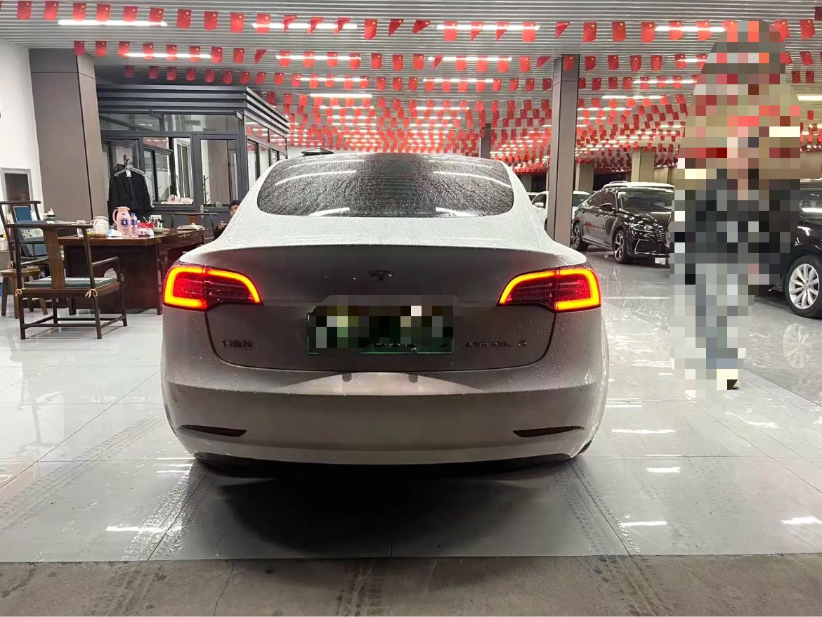Tesla Model 3 2020 imagem de carro #3