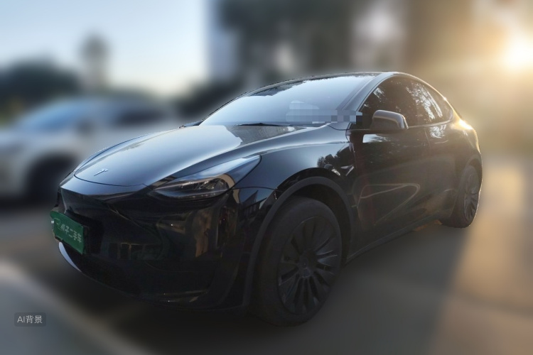 Tesla Model Y 2023 car image #2