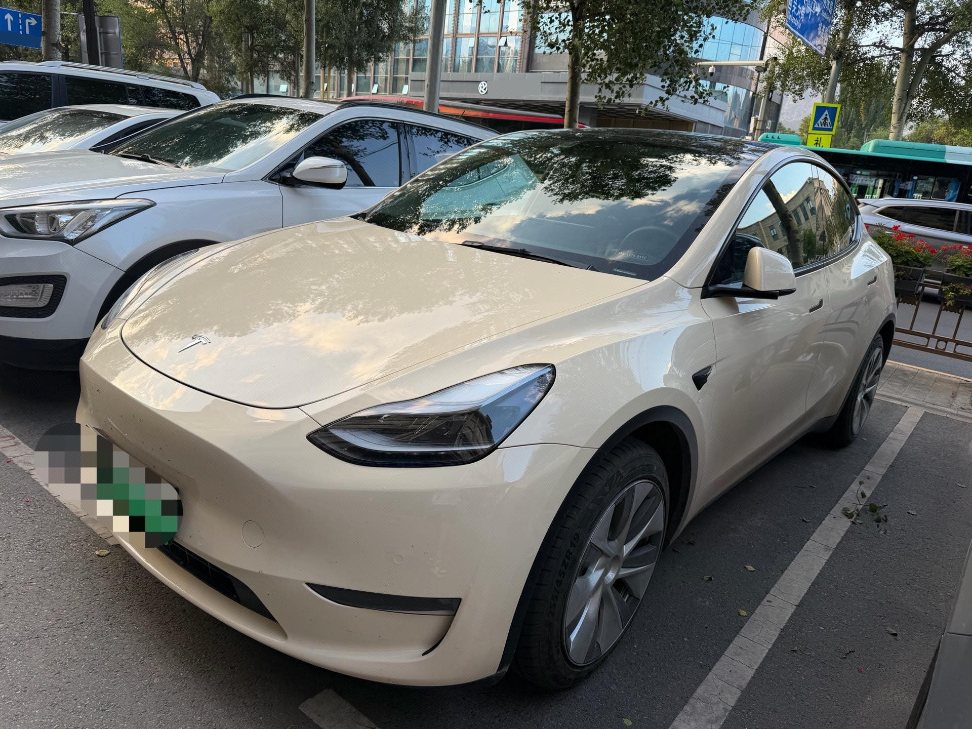 Tesla Model Y 2023 Tesla Model Y 2023 car image