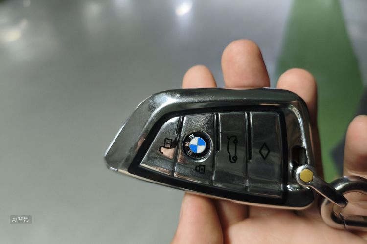 BMW X1 2019 car image #10