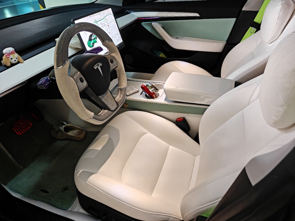 Tesla Model 3 2021 car image #8