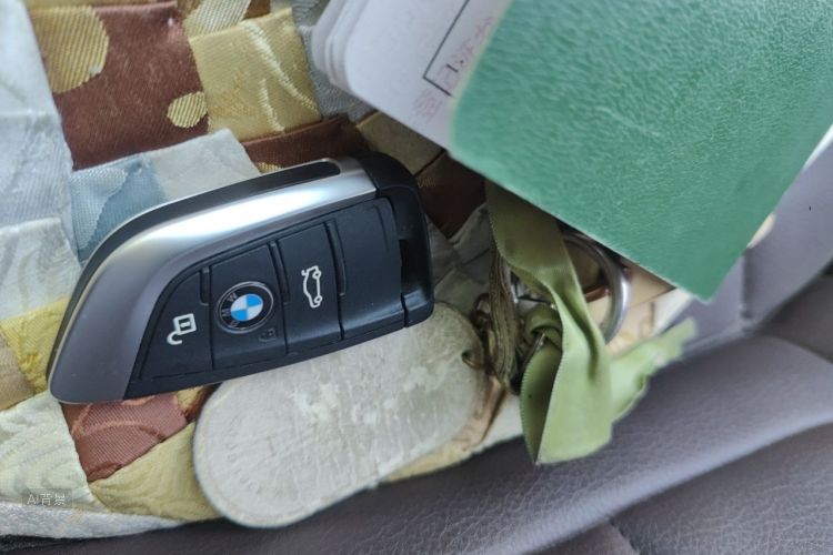 BMW X1 2020 car image #10