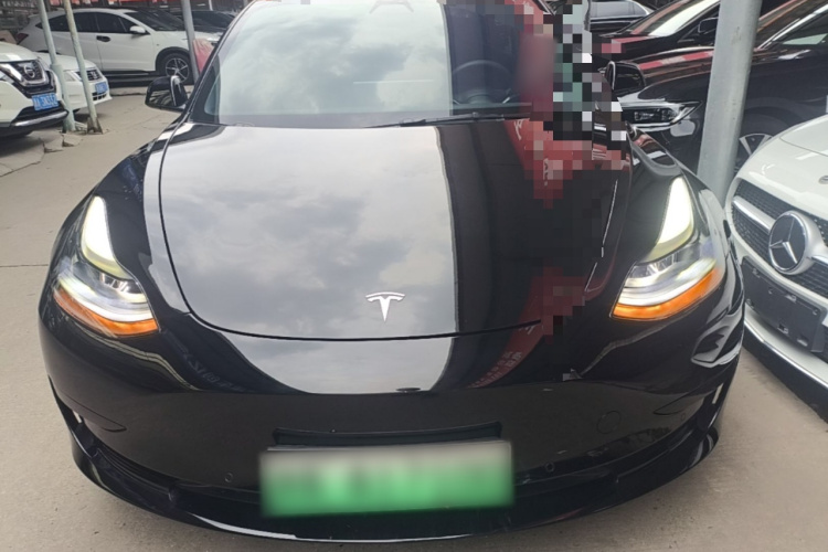 Tesla Model 3 2021 #3 Tesla Model 3 2021 car image #3