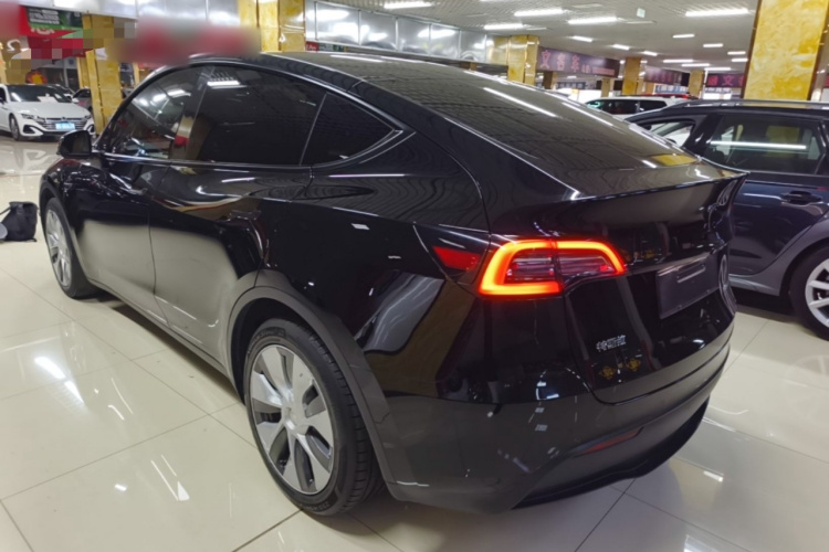 Tesla Model Y 2021 car image #7