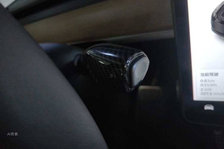 Tesla Model Y 2021 #16 Tesla Model Y 2021 car image #16