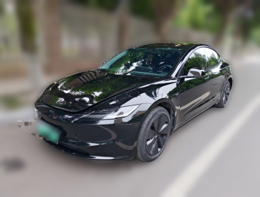 Tesla Model 3 2024 Tesla Model 3 2024 car image