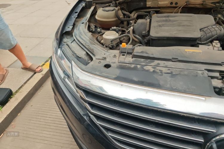 Volkswagen Lavida 2021 car image #8