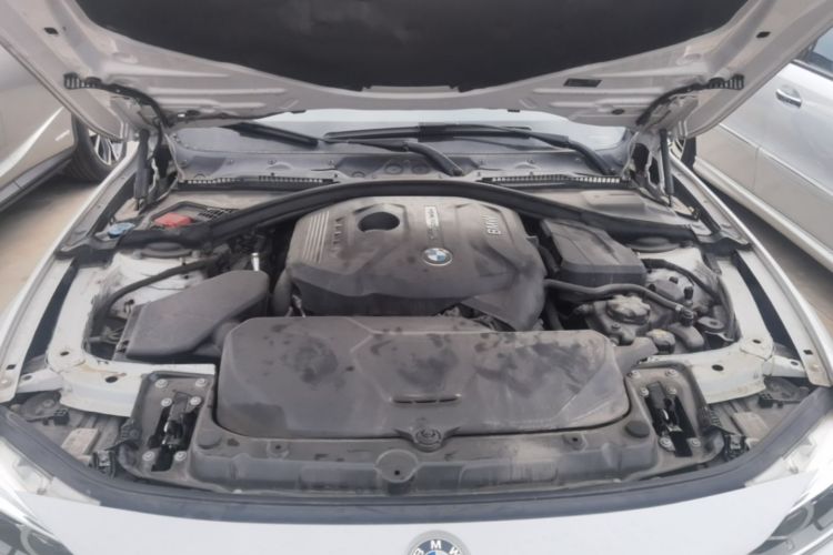 BMW 3 Series 2017 #22 BMW 3 Series 2017 immagine di auto #22
