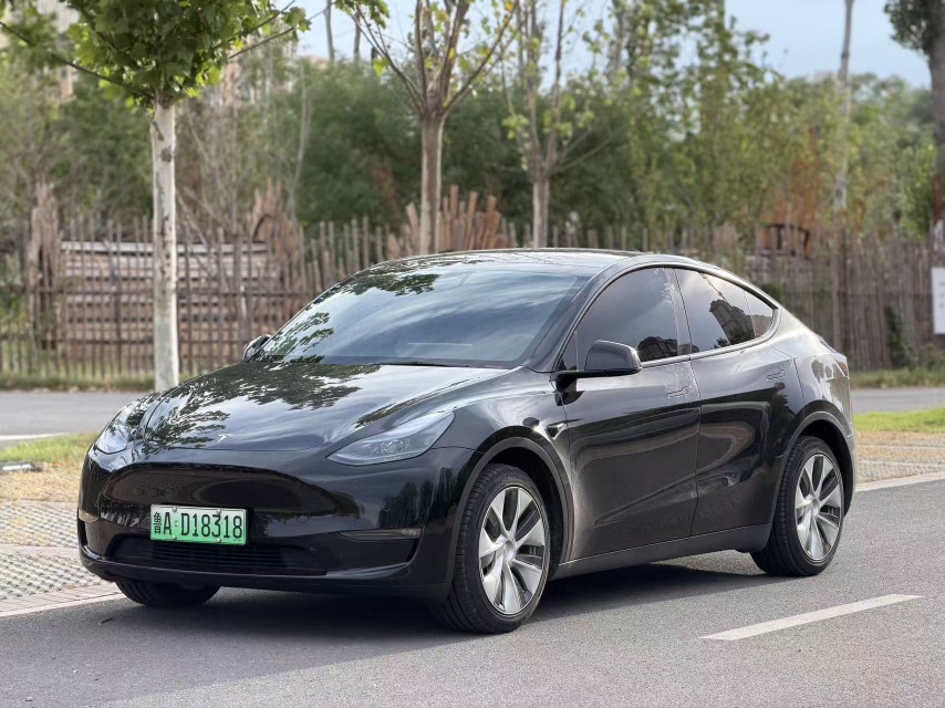 Tesla Model Y 2021 Tesla Model Y 2021 car image