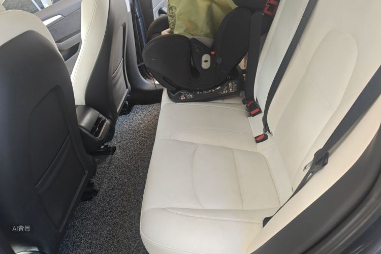 Tesla Model 3 2021 car image #19