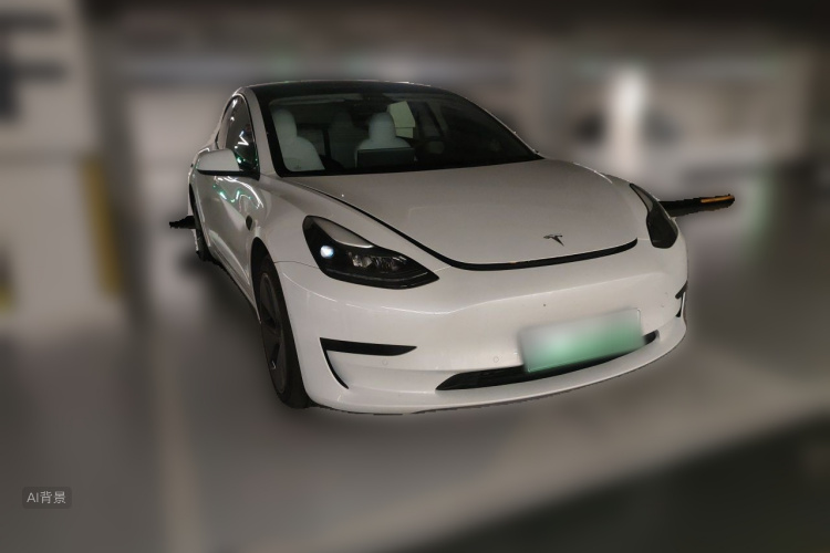 Tesla Model 3 2023 car image #4
