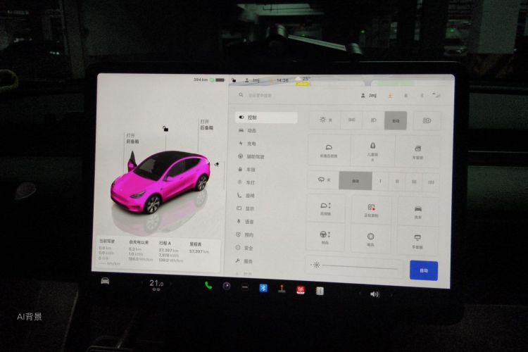 Tesla Model Y 2022 car image #13