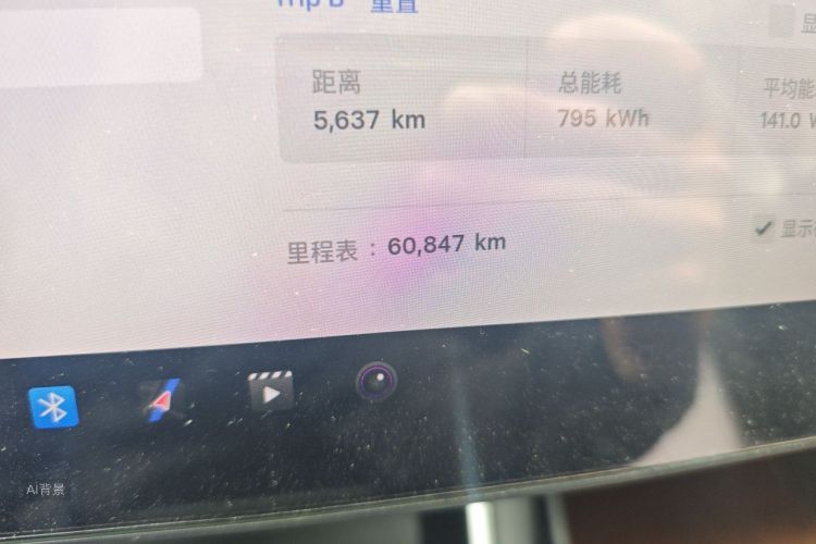 Tesla Model 3 2020 car image #14