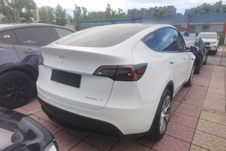 Tesla Model Y 2023 #7 Tesla Model Y 2023 car image #7