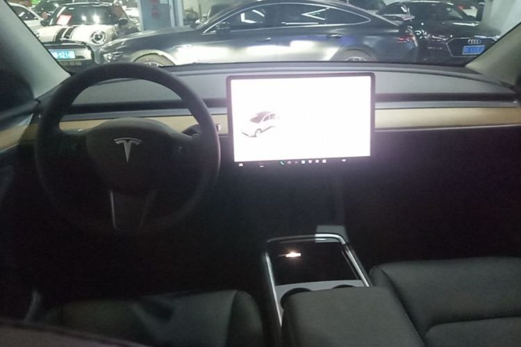 Tesla Model Y 2021 car image #10