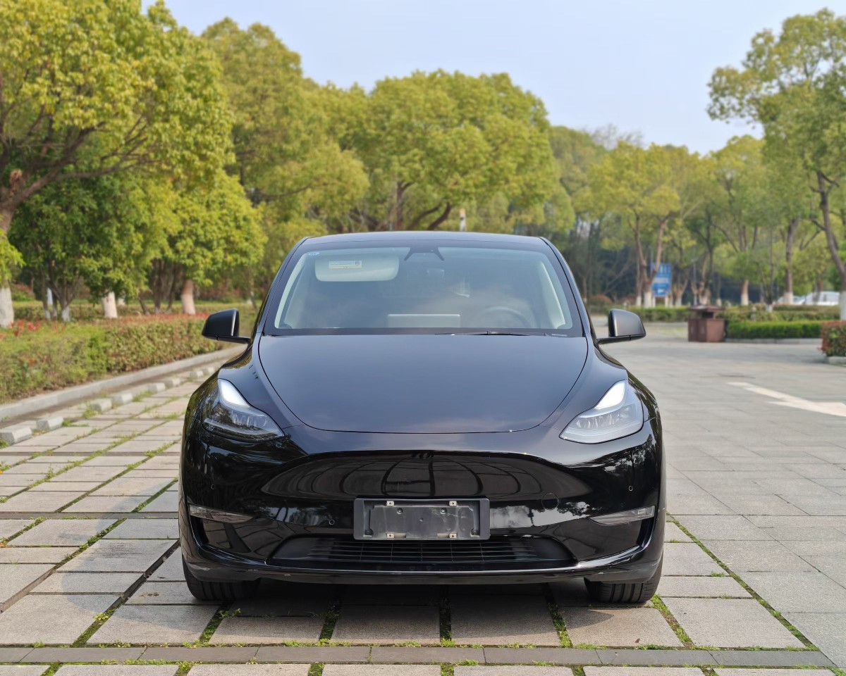 Tesla Model Y 2022 car image #3