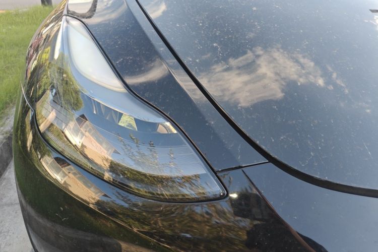 Tesla Model Y 2021 car image #8