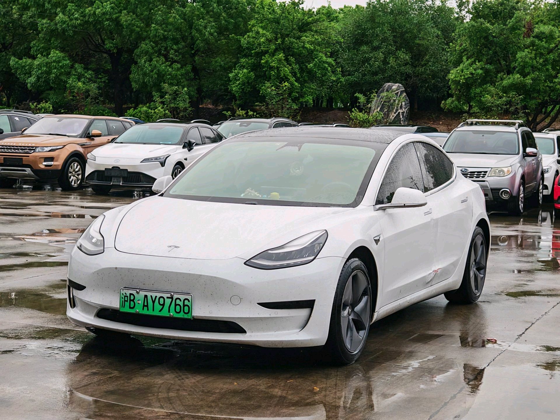 Tesla Model 3 2020 Tesla Model 3 2020 car image