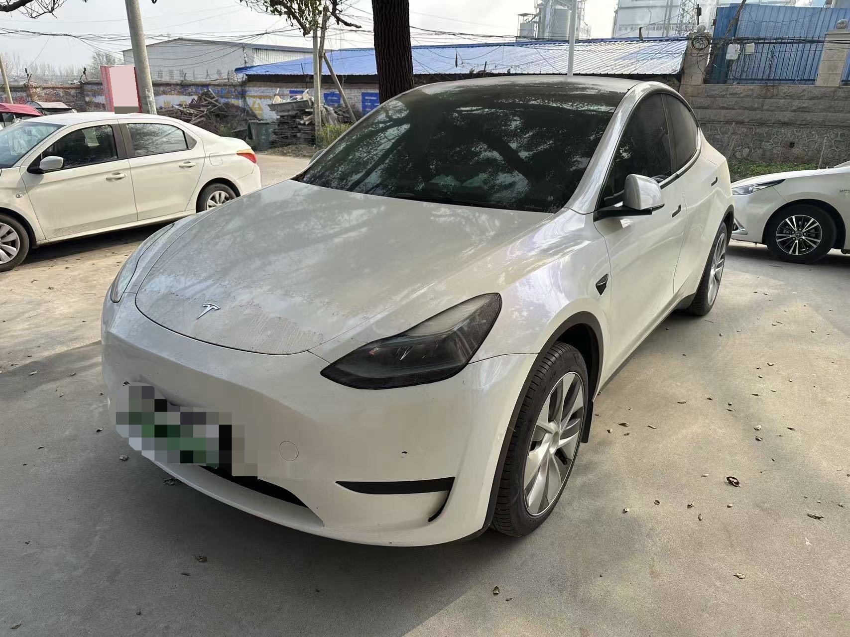 Tesla Model Y 2023 Tesla Model Y 2023 car image