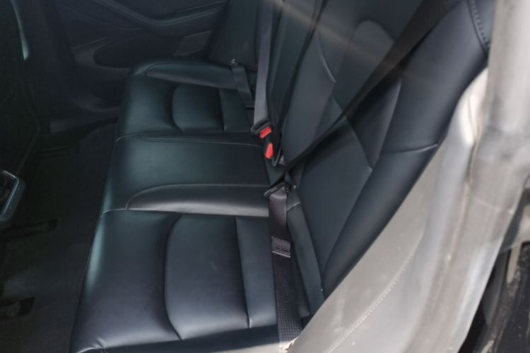 Tesla Model 3 2020 car image #19