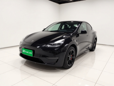 Tesla Model Y 2022 Tesla Model Y 2022 immagine di auto