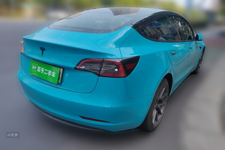 Tesla Model 3 2021 car image #7