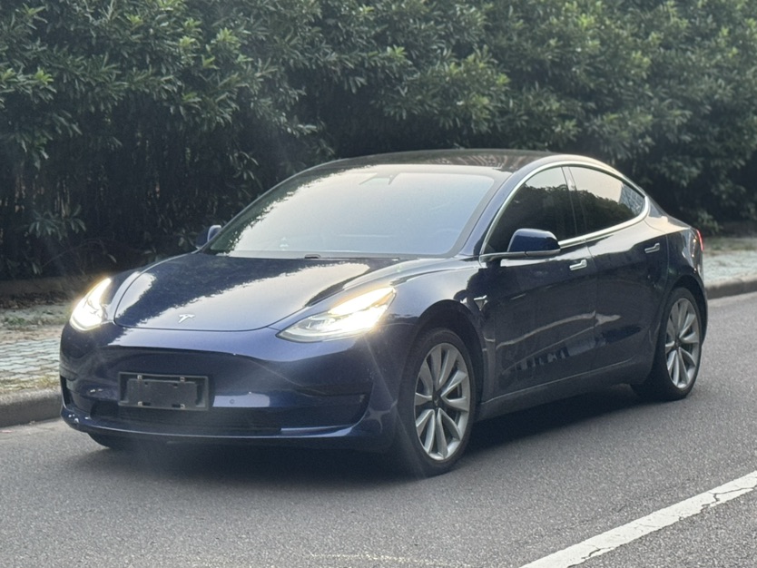 Tesla Model 3 2020 #3 Tesla Model 3 2020 car image #3