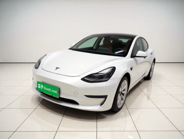 Tesla Model 3 2021 car image 