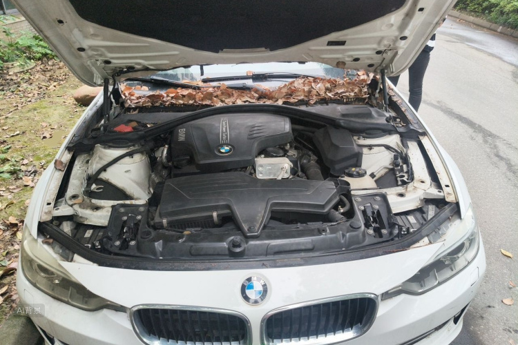 BMW 3 Series 2015 car image #22