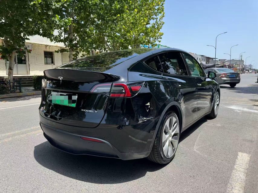 Tesla Model Y 2023 #6 Tesla Model Y 2023 car image #6
