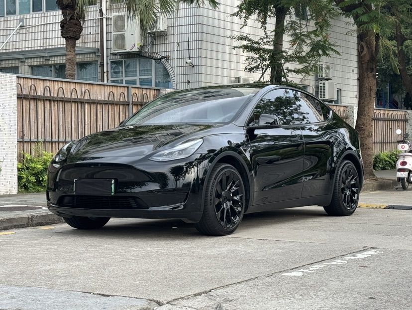 Tesla Model Y 2023 Tesla Model Y 2023 car image