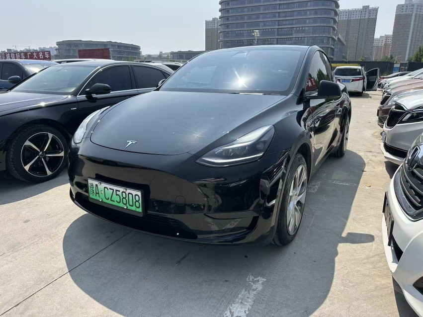 Tesla Model Y 2022 Tesla Model Y 2022 car image