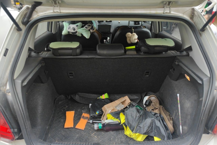 Volkswagen Polo 2019 car image #21