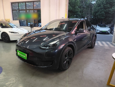 Tesla Model Y 2024 Tesla Model Y 2024 car image