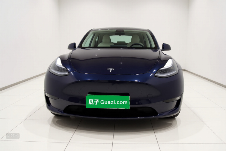 Tesla Model Y 2021 car image #3