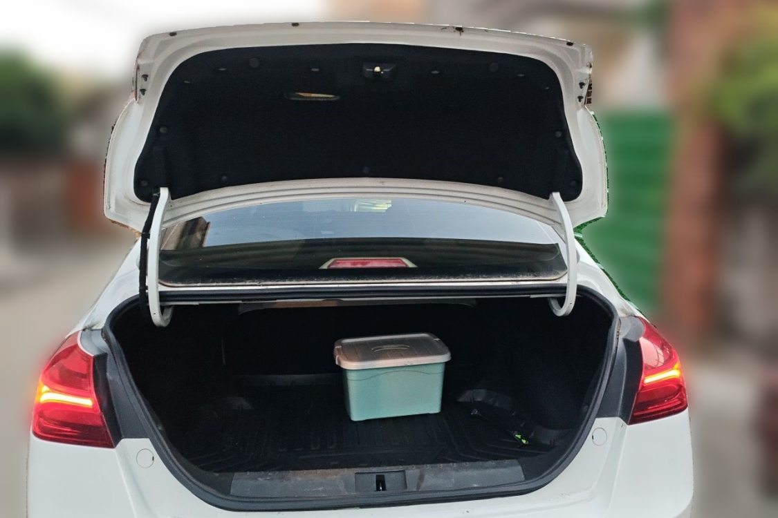 GEELY Emgrand 2018 car image #8