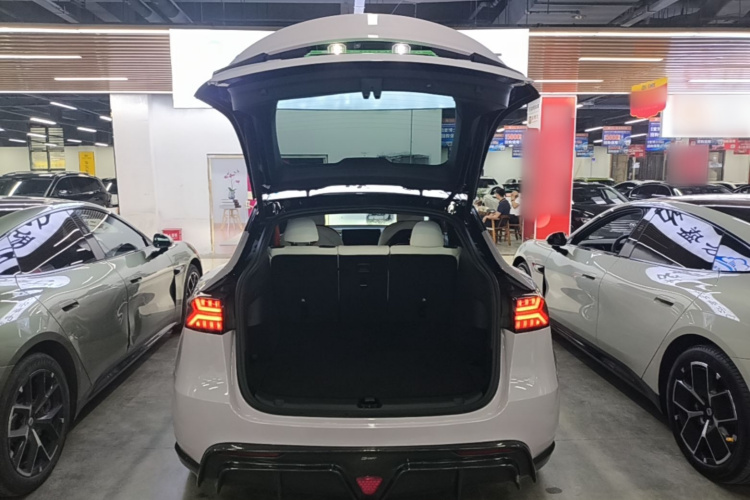 Tesla Model Y 2022 car image #19