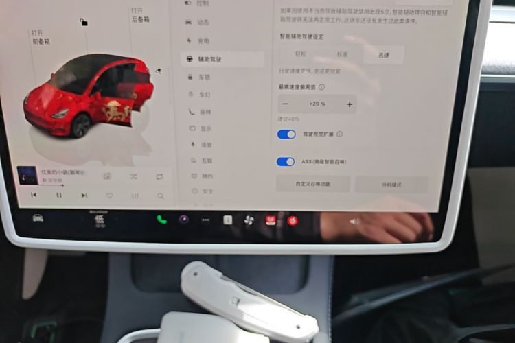 Tesla Model Y 2024 car image #13