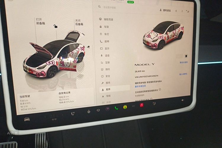 Tesla Model Y 2024 car image #13